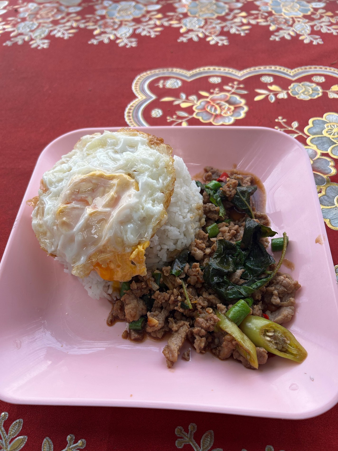 Thaimaa – kenttäreportaasin kuva 4